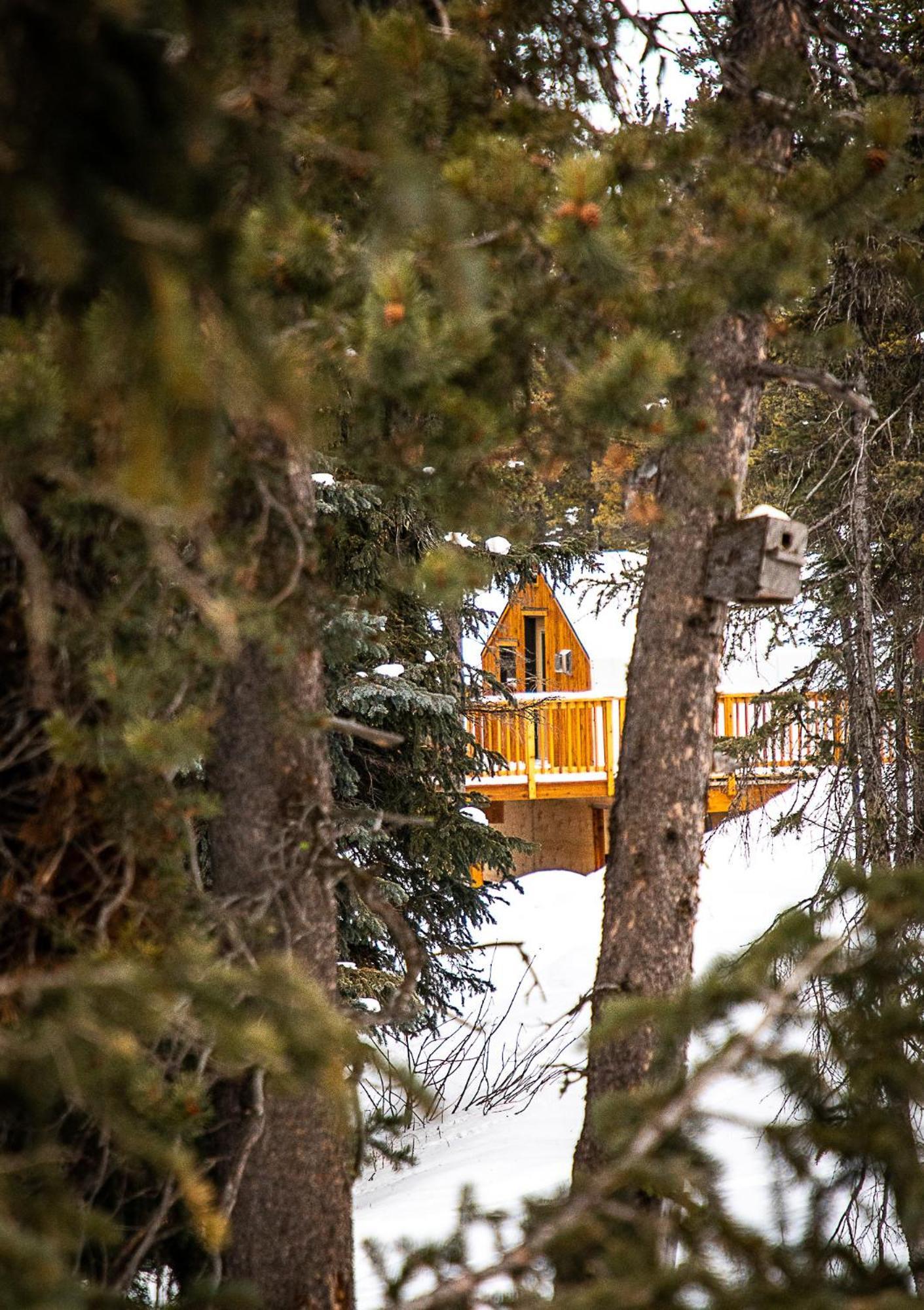 Mount Engadine Lodge Kananaskis Luaran gambar